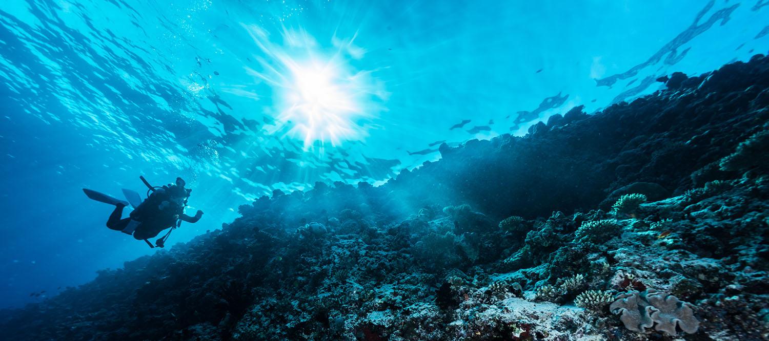 Scuba Diving